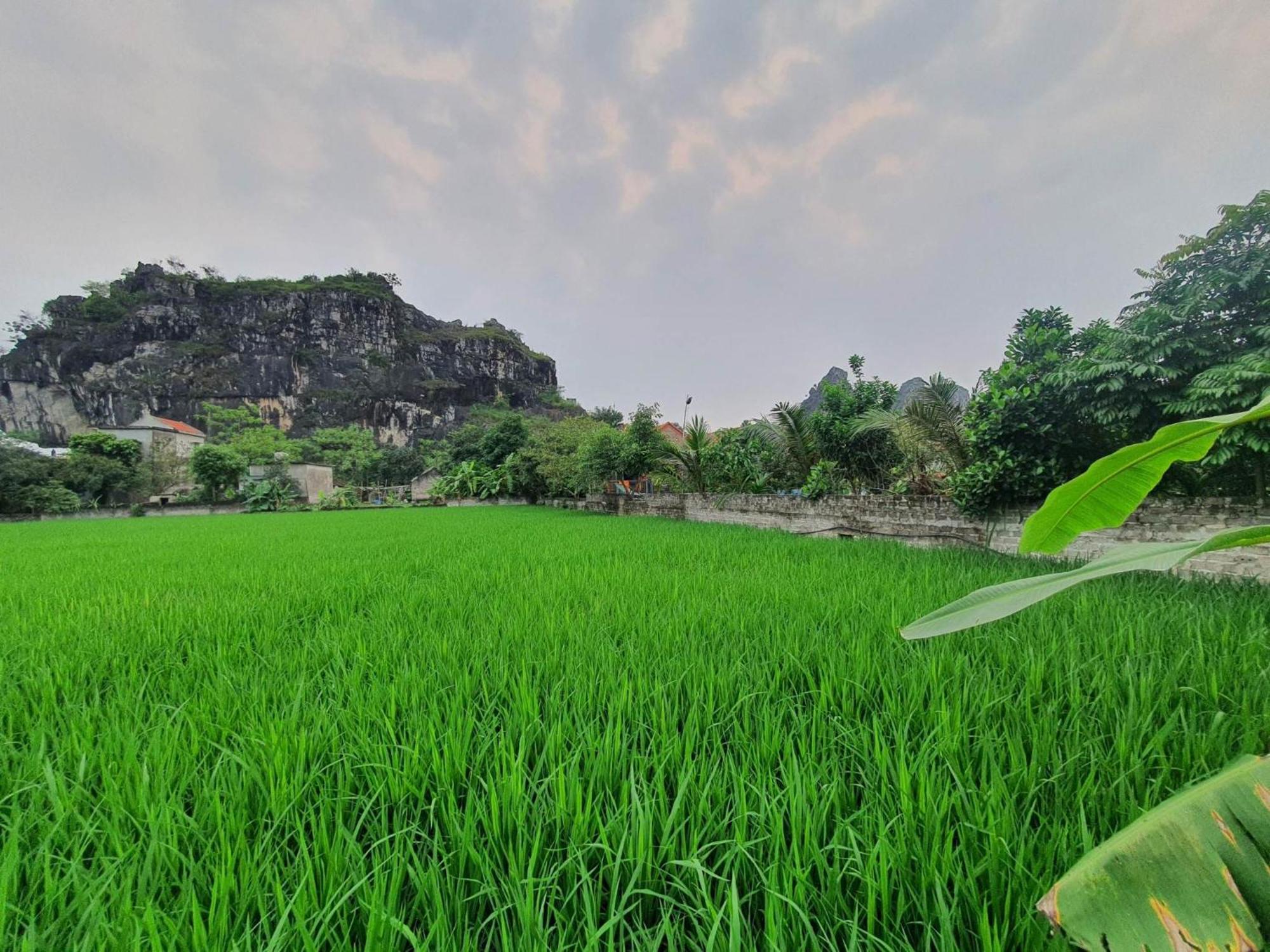 Trang An Garden Bungalow Ниньбинь Экстерьер фото